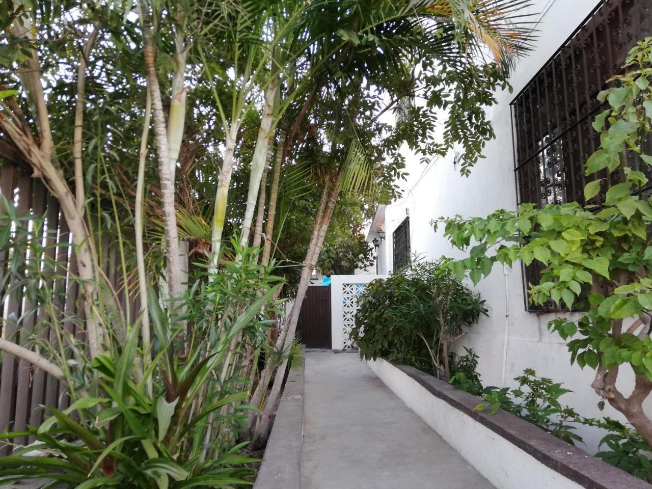 لاباز Bermejo Hostel المظهر الخارجي الصورة